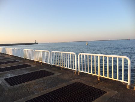 出勤前の短時間釣行で太刀魚