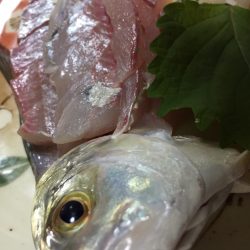 各所メッキ好調♪