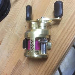 安定のワインド！プラスおまけ。