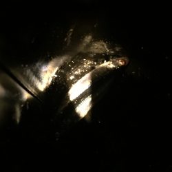 なんということでしょう…(´・_・`)