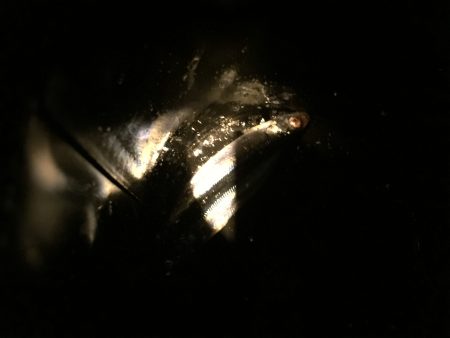 なんということでしょう…(´・_・`)