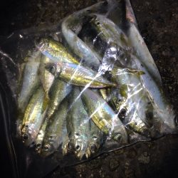 潮とは裏腹に(^^)