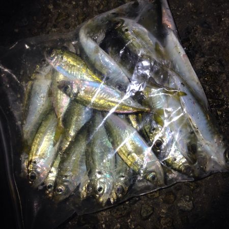 潮とは裏腹に(^^)