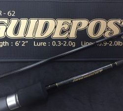 デイアジング・ワインド釣果