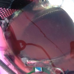 タチウオワインド