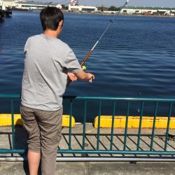 サビキ釣りで爆釣