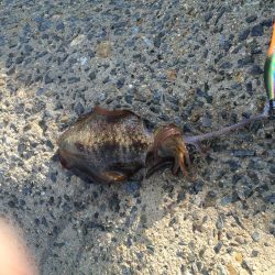 久しぶりの釣行