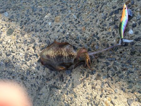 久しぶりの釣行