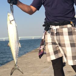 沖堤釣行