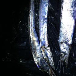 人でいっぱいです