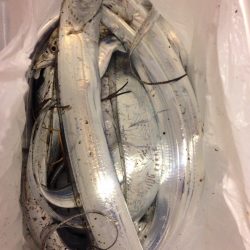 ネットで調べて遠征しました。