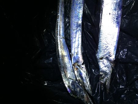 人でいっぱいです