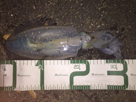 激シブの一杯…。