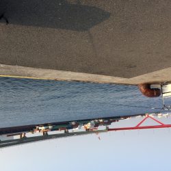 太刀魚 引き釣り