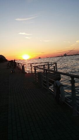 いつものコスモ