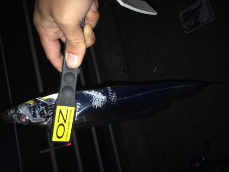 コスモスクエアにて