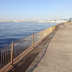 朝練してきました