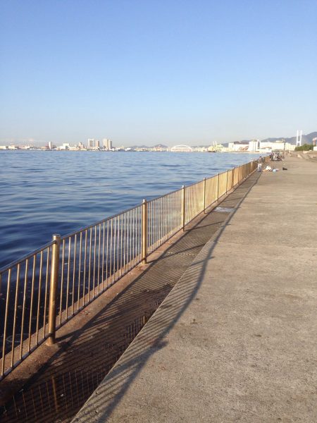 朝練してきました