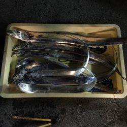 またまたムコイチ