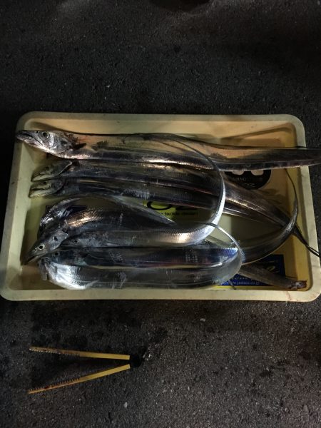 またまたムコイチ