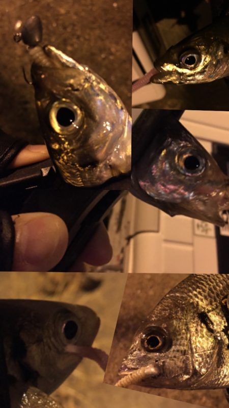 ライトゲーム♪