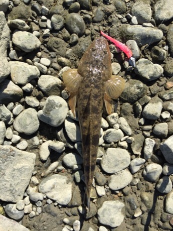 紀ノ川フラットゲーム