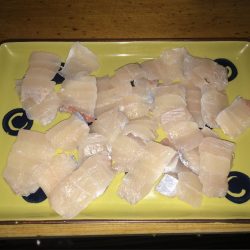 太刀魚エサ釣り