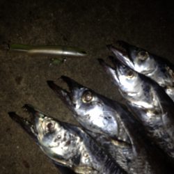 太刀魚釣行