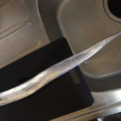 泉佐野 前島にて