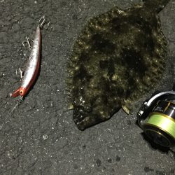 ヒラメが釣れました