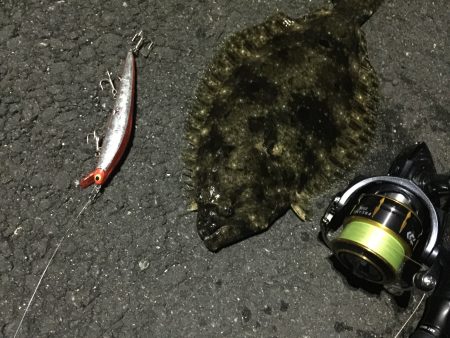 ヒラメが釣れました