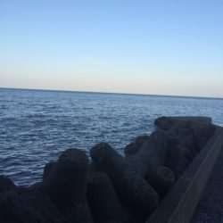 朝マズメ短時間釣行