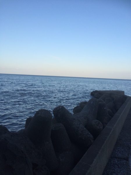 朝マズメ短時間釣行