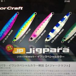 初投稿、ショアジギングデビュー