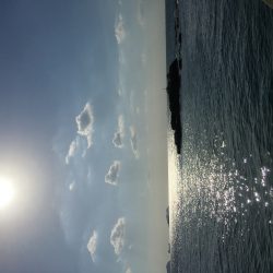 エギングのちジギング