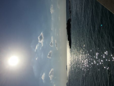 エギングのちジギング