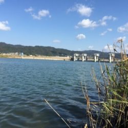 好調紀ノ川フラットゲーム