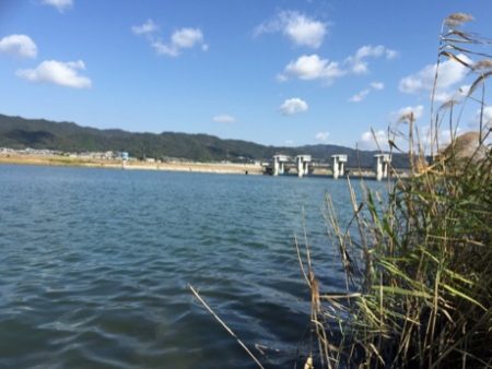 好調紀ノ川フラットゲーム