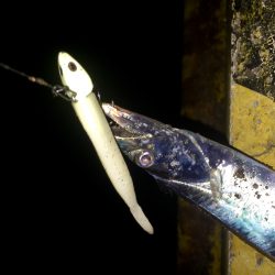 ちょこっとワインド