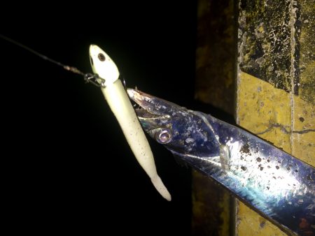 ちょこっとワインド