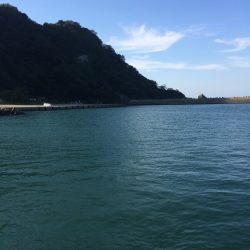 今シーズン初めてのサヨリ釣り