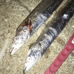 ジアイはわずか15分！