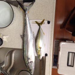 ショアジキング