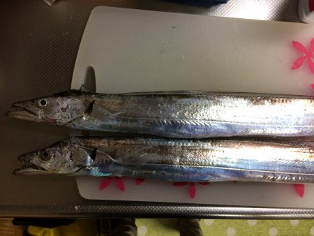 仕事帰りに短時間釣行