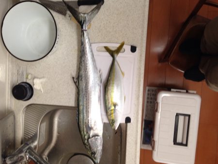 ショアジキング