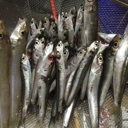 ファミリーフィッシング！