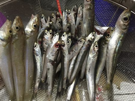 ファミリーフィッシング！