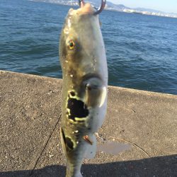 初の武庫川一文字