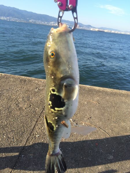 初の武庫川一文字