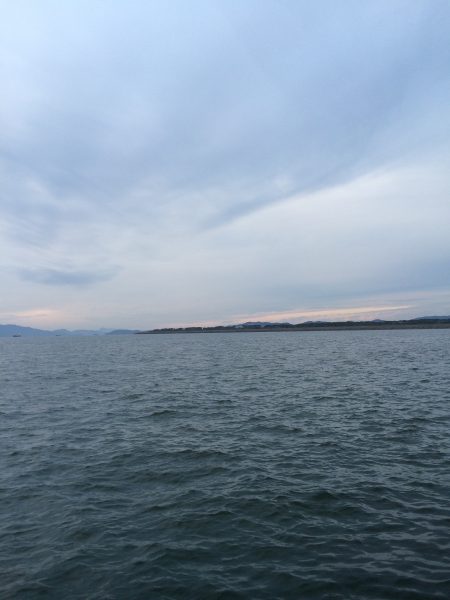 青岸の太刀魚はだいぶ減ってます。